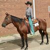 Allee Prescott, 12, attended the Missouri State Fair Horse Show July 30th-August 2nd. She brought home first place overall in 12 & under Barrels and 12 & under Pole Bending with her horse, Miss N Selena. She brought home first place overall in 12 & under Ranch Riding and 3rd place overall in 12 & under Reining with her horse, BayBee By Texas.