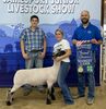 Grand Champion Market Lamb, Harlee Beck.
On the left, Judge Cole Murphy, and on the right is Wade Dixon from BTC Bank.
