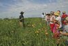 MDC invites teachers to participate in free Discover Nature Schools prairie workshop on Sept. 10 at Dunn Ranch Prairie in Harrison County.