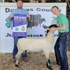 Libby Endicott, Gallatin - Grand Champion In-County Ram