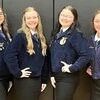 Members of the Jamesport FFA Chapter competed in Area 2 Fall Speaking LDE’s on November 2nd in Gallatin. We are so proud of all the hard work and time they have put into their speeches and are proud of them for stepping out and representing no matter what the outcome was. 
	From left to right; Emma Henderson - Teach Ag, 5th Gold; Tori Dustman - Missouri Soil &amp; Water, 3rd Gold (Advancing to Districts); Hailey Eads - Farm Bureau, 4th Gold (Alternate to Districts) and Allee Prescott - Missouri Quarter Horse, 2nd Gold (Advancing to Districts).